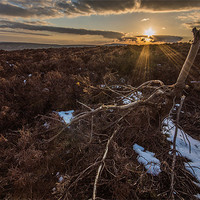 Buy canvas prints of Sunset in the North Yorkshire Moors by Phil Tinkler