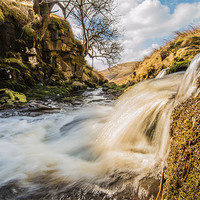 Buy canvas prints of Abbey Brook by Phil Tinkler