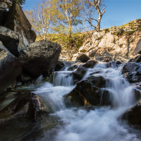 Buy canvas prints of Levers Water Beck by Phil Tinkler