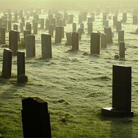 Buy canvas prints of Eerie Graveyard by andrew pearson