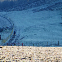 Buy canvas prints of Frosty Fields by andrew pearson