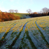 Buy canvas prints of Frosty lines by andrew pearson
