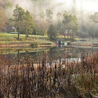 Buy canvas prints of  Misty winter morning. Cragside House & Manor,Nort by andrew pearson