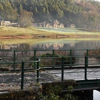 Buy canvas prints of  Misty winter morning. Cragside House & Manor,Nort by andrew pearson