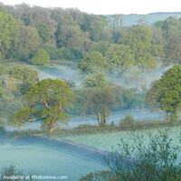 Buy canvas prints of Trees in the misty field by Dave Bell