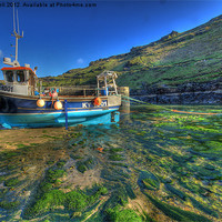 Buy canvas prints of Boscastle blue boat green river by Dave Bell