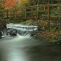 Buy canvas prints of Footbridge Over Pool In Autumn by Dave Bell