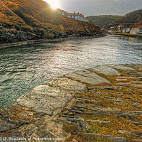 Buy canvas prints of Boscastle Cornwall by Dave Bell