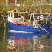 Buy canvas prints of Blue Fishing Boat by Dave Bell
