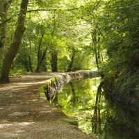 Buy canvas prints of Tavistock Canal by Dave Bell