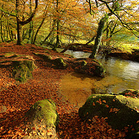 Buy canvas prints of golitha falls autumn by Dave Bell