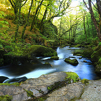 Buy canvas prints of Woodland Water by Dave Bell