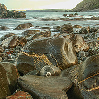 Buy canvas prints of Wet Rocks by Dave Bell