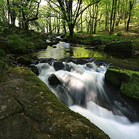 Buy canvas prints of Golitha Falls by Dave Bell