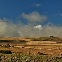 Buy canvas prints of Dartmoor Wilderness by Dave Bell