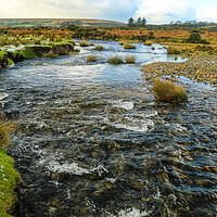 Buy canvas prints of Dartmoor River by Dave Bell
