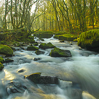 Buy canvas prints of River Rushing Through The Woods by Dave Bell
