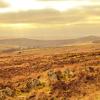 Buy canvas prints of Moorland by Dave Bell