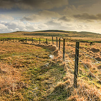 Buy canvas prints of Fence Line by Dave Bell