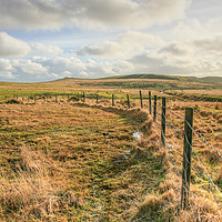 Buy canvas prints of Fence by Dave Bell