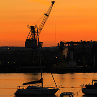 Buy canvas prints of Sunlight Crane. by Dave Bell