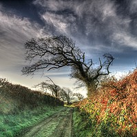 Buy canvas prints of Frosty Country Lane by Dave Bell