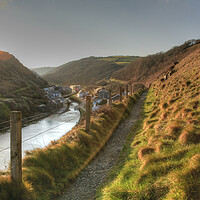 Buy canvas prints of A High Footpath Overlooking Boscastle At Sunrise. by Dave Bell