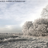 Buy canvas prints of Another Frosty Morning by Glynne Pritchard