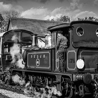 Buy canvas prints of Bluebell Railway Steam Engine by Tim Taylor