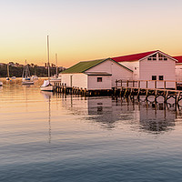 Buy canvas prints of Freshwater Bay Boatsheds by Susan Moss
