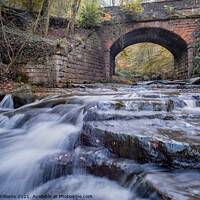 Buy canvas prints of Bridge over May Beck, Sneaton Forest, Near Whitby by Martin Williams
