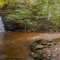 Buy canvas prints of Panoramic of Falling Foss, North York Moors by Martin Williams