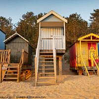 Buy canvas prints of Beach huts at Wells-Next-the-Sea by Martin Williams