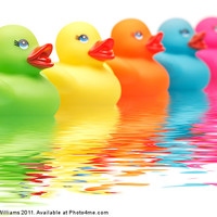 Buy canvas prints of Rainbow Ducks by Martin Williams