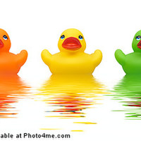 Buy canvas prints of Five Rubber Ducks by Martin Williams