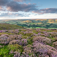 Buy canvas prints of heather on the north york moors looking over Rosedale Abbey by Martin Williams