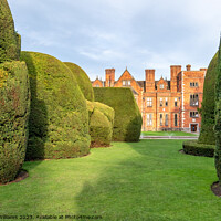 Buy canvas prints of Ancient yew topiary at York University, Heslington Hall by Martin Williams