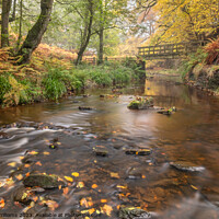 Buy canvas prints of Bridge over Hodge Beck, North York Moors by Martin Williams