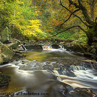 Buy canvas prints of Mallyan Spout and West Beck by Martin Williams