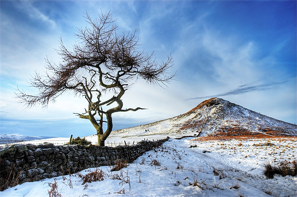 Winter at Roseberry Topping, North Yorkshire Framed Print by Martin Williams