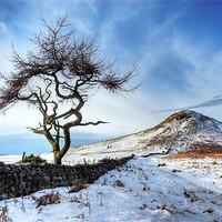 Buy canvas prints of Winter at Roseberry Topping, North Yorkshire by Martin Williams