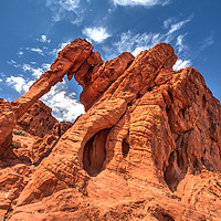 Buy canvas prints of Elephant Rock, Valley of Fire State Park, Nevada by Martin Williams
