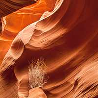 Buy canvas prints of Rattlesnake Canyon by Martin Williams