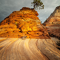 Buy canvas prints of Zion National Park by Martin Williams