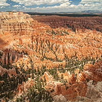 Buy canvas prints of Bryce Canyon National Park, Utah, USA by Martin Williams