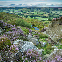Buy canvas prints of Heather on the Moors, Rosedale, North York Moors  by Martin Williams