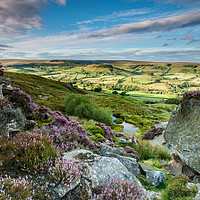 Buy canvas prints of Rosedale, North York Moors  by Martin Williams
