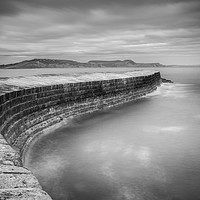 Buy canvas prints of Lyme Regis - The Cobb by Martin Williams
