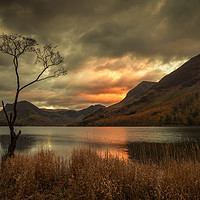 Buy canvas prints of Lone Tree - Buttermere by Martin Williams