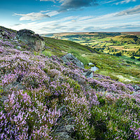 Buy canvas prints of Heather on the North York Moors, Rosedale Abbey by Martin Williams